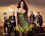 Weeds