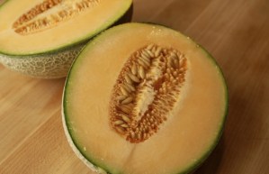 Canataloupe...Just one of the MANY things I hate