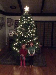 Day 3: Lights are up [Apologies for the lame iPhone photo quality]