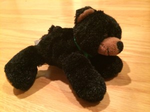 Bear Bear...The source of all The Rules