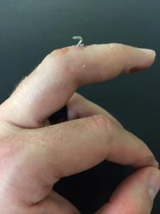 The pin, sticking out for the next four weeks.