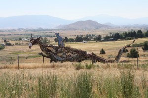 Priscilla herself, outside Yreka.