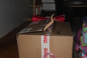 Do my kids love to play with "trash"? That's my six-year-old coming out of her hobo box.