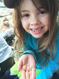 Not quite the same as catching a foul ball, but losing a tooth is still pretty cool.